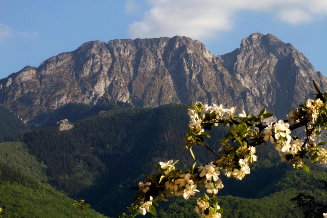 Willa Danuska Poronin Exteriér fotografie